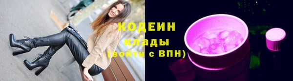 крисы Покачи