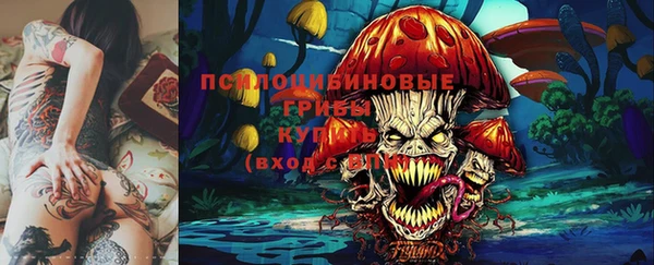 a pvp Алексеевка