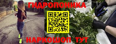 ECSTASY Гатчина