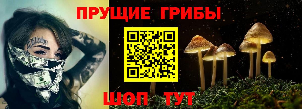 Псилоцибиновые грибы мицелий  Вход с VPN  Псилоцибиновые грибы мицелий  хочу   Сосновоборск 